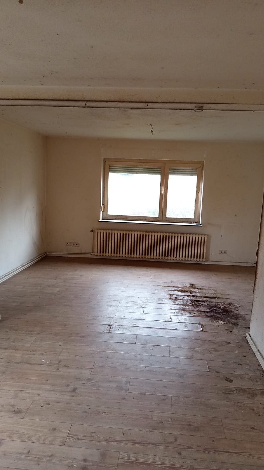 Haushaltsauflösung in Kiel – besenrein übergebenes Wohnzimmer, nachher